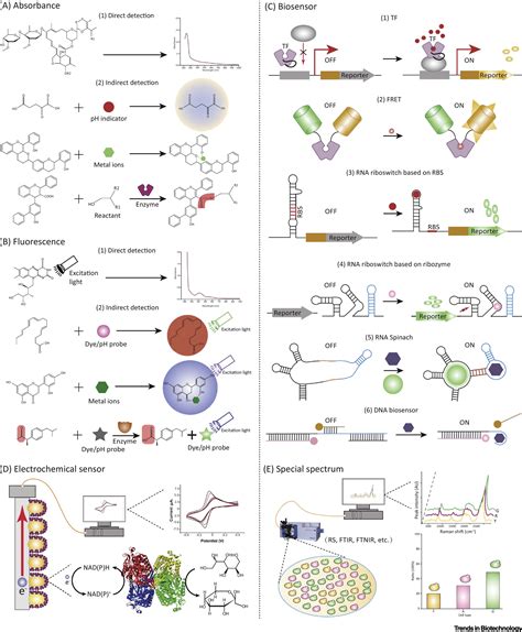 High Throughput Screening Technology In Industrial Biotechnology Trends In Biotechnology