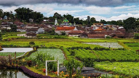 16 Ulasan Menarik Kampung Wisata Kungkuk Negeri Di Atas Awan Kota Batu