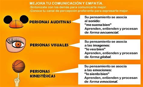 Caracter Sticas Del Estilo De Aprendizaje Visual