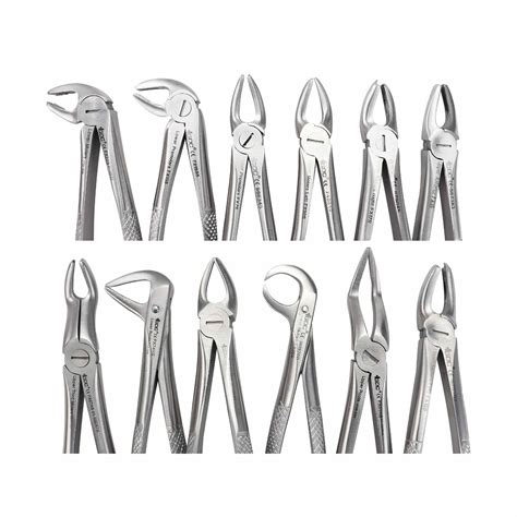 Buy Gdc Extraction Forceps Standard S Pouch Online At Best Prices