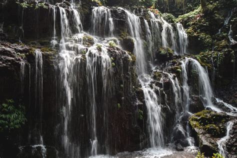 Banyu Wana Amertha Waterfall In Bali A Complete Guide