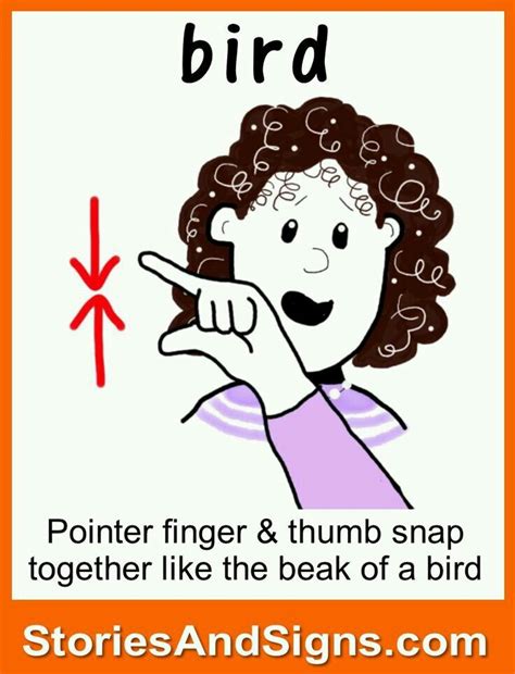 Sign Language: Bird Symbol