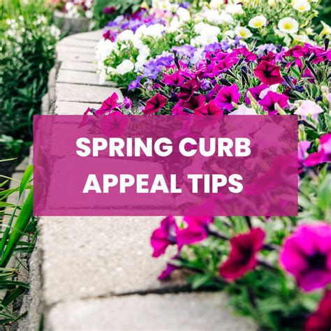 Spring Curb Appeal Tips For Homes And Condos Kathy Rukat Smith Realtor