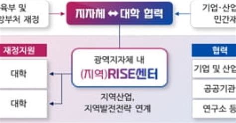 대구시 지역혁신중심 대학지원체계 Rise 시범지역 최종 선정