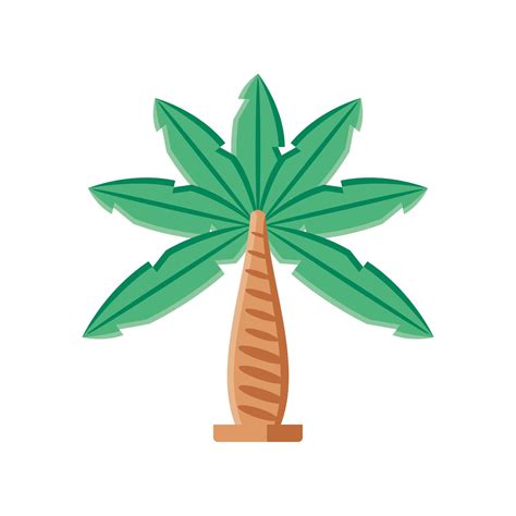 tropical palm tree 4799607 Vector Art at Vecteezy