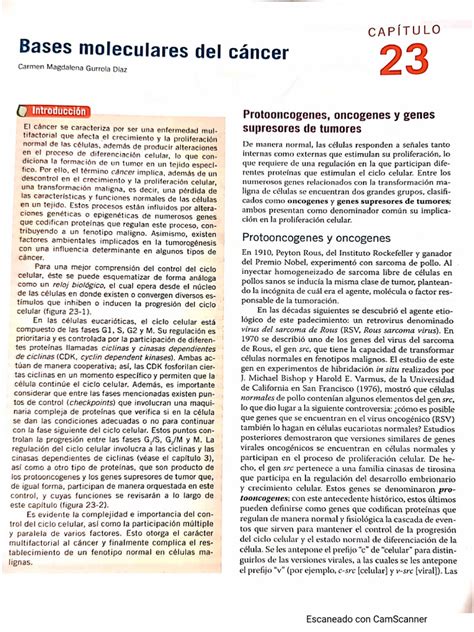 Base Molecular Del Cáncer Pdf