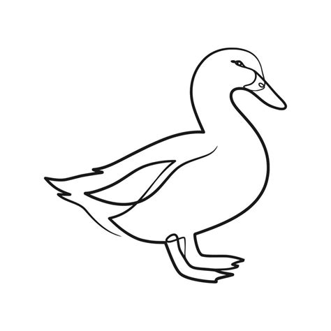 Duck Continuous Line Art Drawing 11512143 Vector Art At Vecteezy