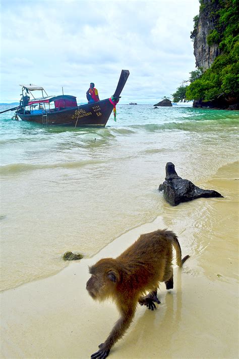 Monkey Beach Phi Phi Islands Phi Phi Islands Thailand Flickr