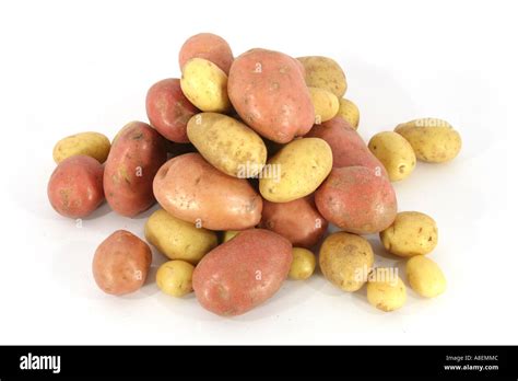 Pile Maris Piper Potatoes Hi Res Stock Photography And Images Alamy