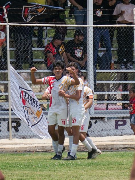 Tigres de Alica y Acatlán con ascenso en mano van por el título de la