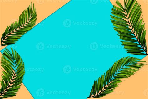 Green Palm Leaves Pattern For Nature Concept Tropical Leaf On Orange