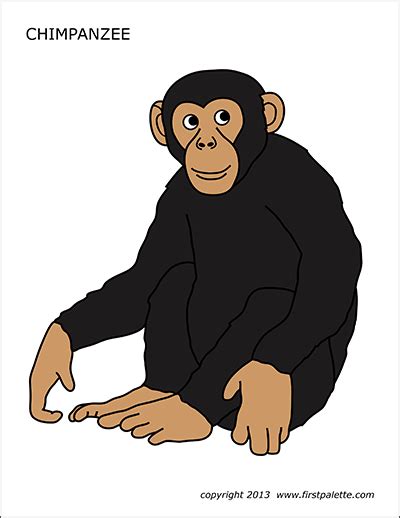 Chimpanzee | Free Printable Templates & Coloring Pages | FirstPalette.com