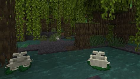 How To Grow Mangrove Trees In Minecraft Easy Step By Step