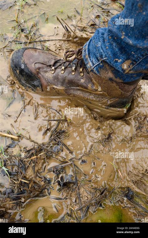 Boots Stuck In Mud Hi Res Stock Photography And Images Alamy