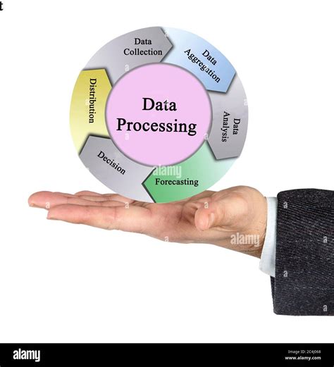 Five Components Of Data Processing Stock Photo Alamy