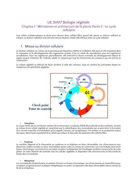 Chapitre 1 partie 2 Le cycle cellulaire UE 3V617 Biologie végétale