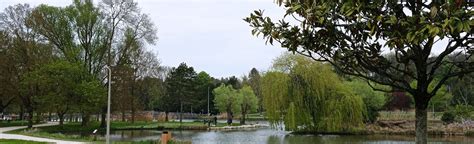 Lac Des Bretonni Res Foto Indre E Loira Francia Alltrails