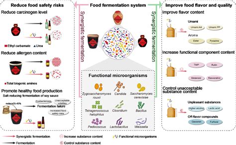 功能微生物协同发酵提高中国传统发酵食品安全与品质 未来食品科学中心