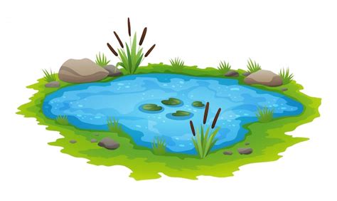 Premium Vector | Natural pond outdoor scene. Small blue decorative pond ...