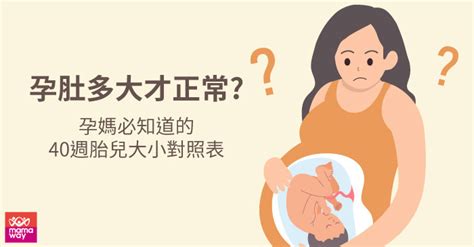 孕肚多大才正常 孕媽必知道的5種影響孕肚大小的原因 mamaway