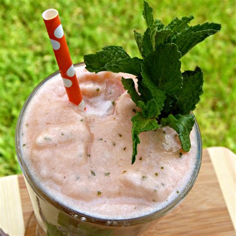 Mint Melon Smoothie Recipe + Apera Review | thefitfork.com