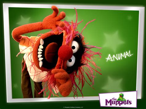 The Muppets images Animal HD wallpaper and background photos (116865)