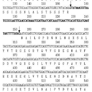 Nucleotide And Deduced Amino Acid Sequence Of The Genomic Dna Of F