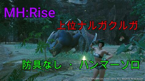 MHRise 集会所 上位 6 ナルガクルガ 裸 防具なし ハンマー ソロ Nargacuga Hammer Solo No