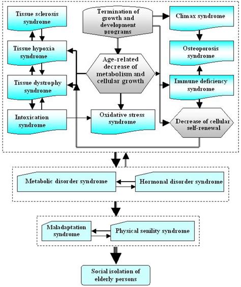 Major Syndromes Of Aging And Their Links With The Main Aging Mechanisms