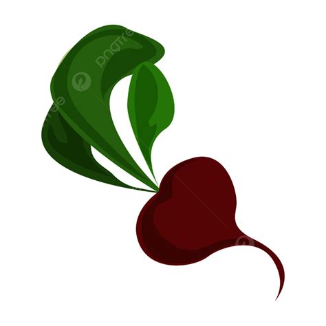 Radishes Clipart PNG Images Radish Icon Cartoon Vector Vegetable