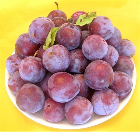 PEC Fruits-Aid-Health Campaign: Today’s Amazing Fact: Prunes are ...