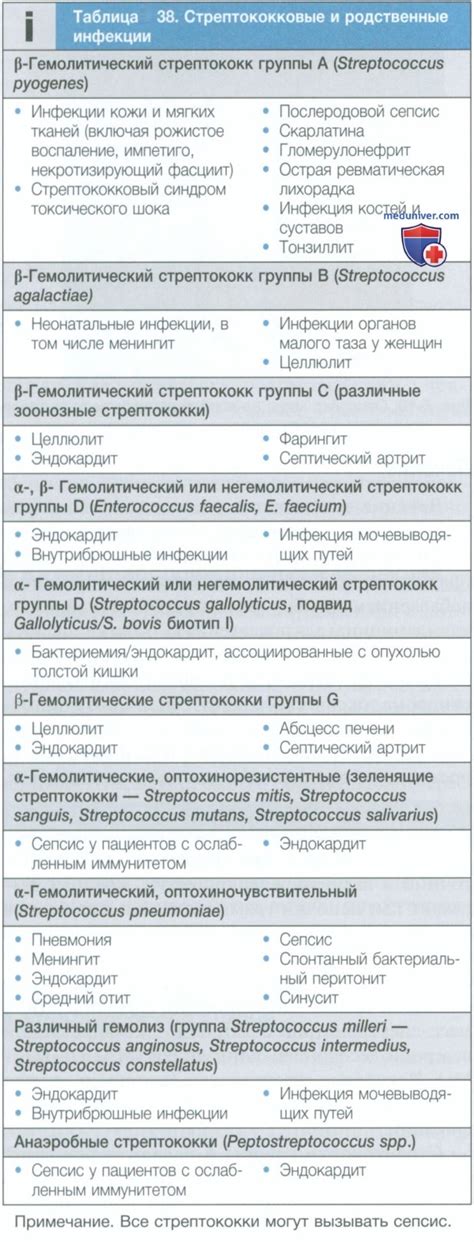 Стрептококковые инфекции - кратко с точки зрения внутренних болезней