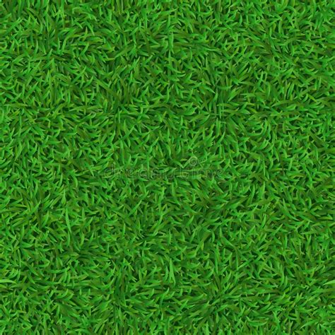 Seamless Grass Texture Stock Illustration Illustration Of Texture 15808666