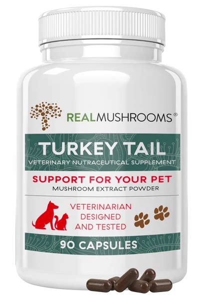 Real Mushrooms Turkey Tail Powder Capsules — Rita Hogan Dog Herbalist