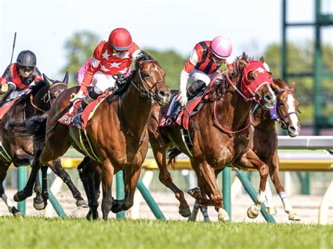 【京王杯sc結果】ウインマーベルが大接戦を制し重賞4勝目 競馬ニュース