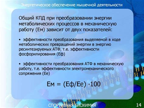 Спортивная биохимия. (Часть 3) - презентация онлайн