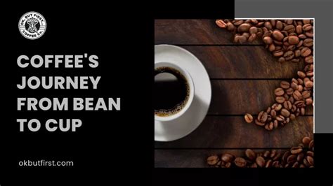 PPT Live The Joy From Coffee Beans To Your Favorite Cup Of Coffee