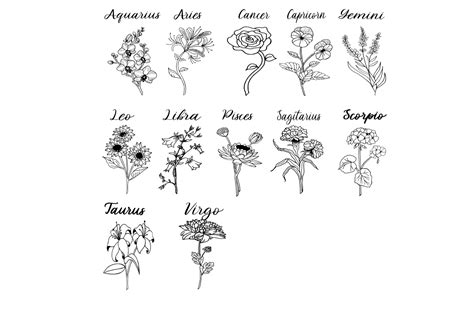 Birth Zodiac Sign Flowers Graphic by cwgirlsdream14 · Creative Fabrica