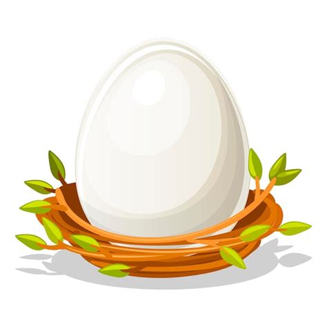 Huevo Aislado En Nido De Pájaros De Ramitas Vector Premium