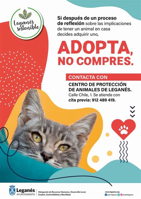 Legan S Pone En Marcha Una Campa A Para Fomentar La Adopci N De