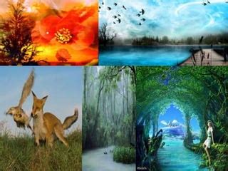 Nature is all around us | PPT