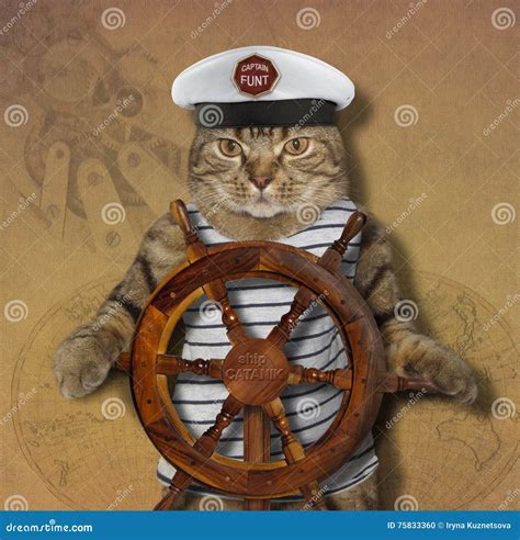 The Cat Is A Ship Captain Stock Photo Image Of Ocean 75833360