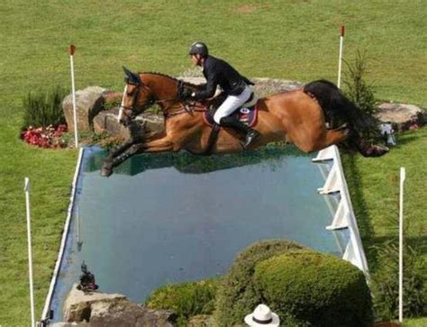 Amazing Jump Show Jumping Horses Beautiful Horses Horse Life