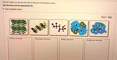 Sort The Images According To The Level Of Structure In The Proteins