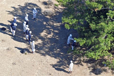 鹿児島・馬毛島で自衛隊基地着工 工期4年想定、完工前の運用目指す 写真特集39 毎日新聞