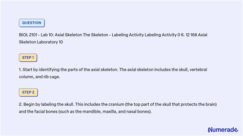 Solved Biol Lab Axial Skeleton The Skeleton Labeling