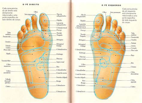 Reflexologia Podal Reflexologia Pontos De Acupuntura Acupuntura