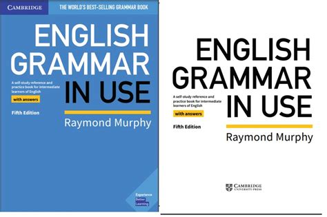 English Grammar In Use Second Edition PDF