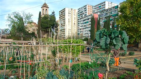 Estrategia de agricultura urbana Urbanismo Transición Ecológica