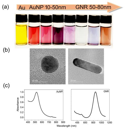 Cancers Free Full Text Insights Into Gold Nanoparticles